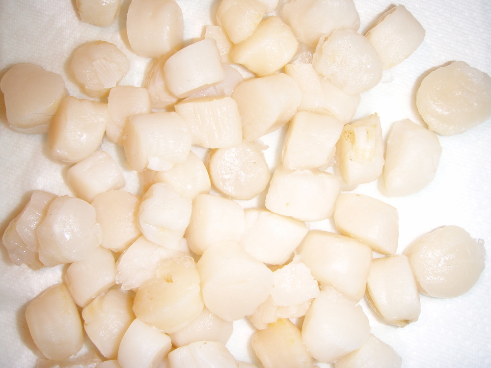 Raw Scallops