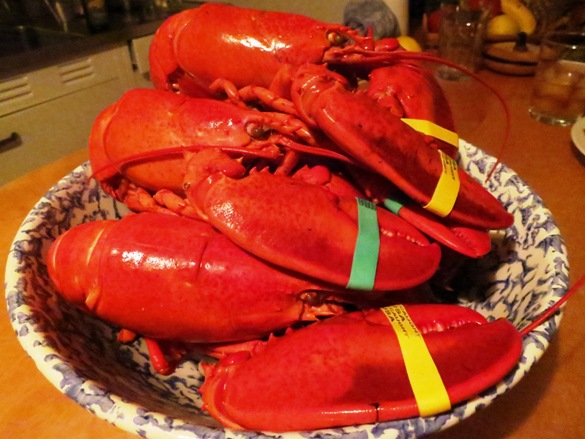 Cooked Lobsters in Bowl